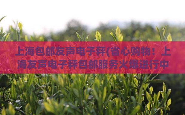 上海包邮友声电子秤(省心购物！上海友声电子秤包邮服务火爆进行中)