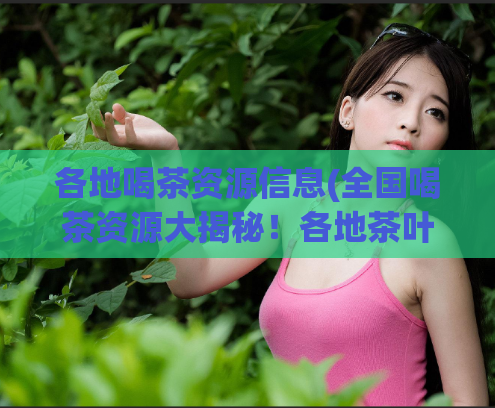 各地喝茶资源信息(全国喝茶资源大揭秘!各地茶叶种类、泡法、文化背后的小秘密!)