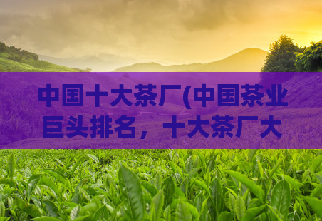 中国十大茶厂(中国茶业巨头排名,十大茶厂大揭秘)