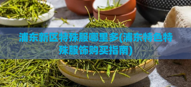 浦东新区特殊服哪里多(浦东特色特殊服饰购买指南)