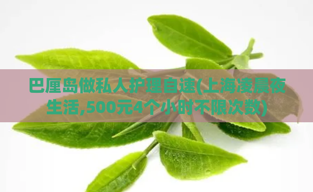 巴厘岛做私人护理自速(上海凌晨夜生活,500元4个小时不限次数)