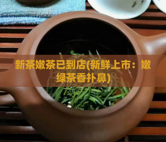 新茶嫩茶已到店(新鲜上市：嫩绿茶香扑鼻)