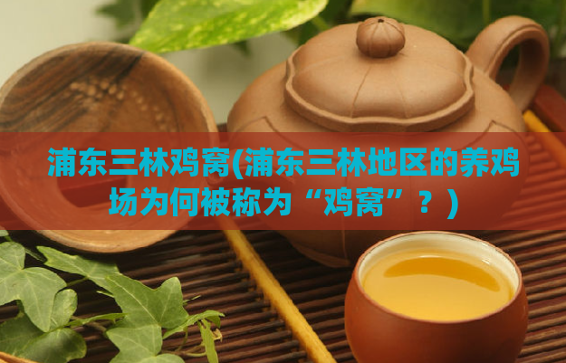 浦东三林鸡窝(浦东三林地区的养鸡场为何被称为“鸡窝”?)