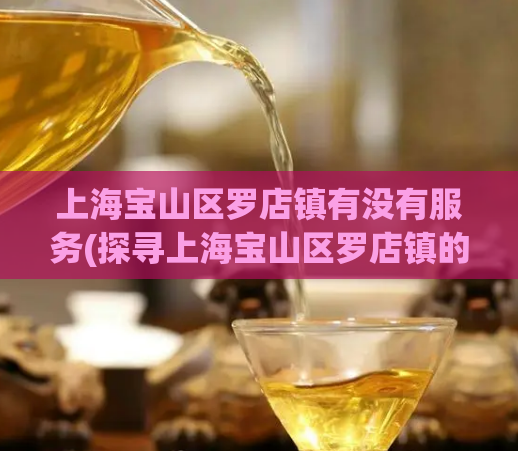 上海宝山区罗店镇有没有服务(探寻上海宝山区罗店镇的服务之路)