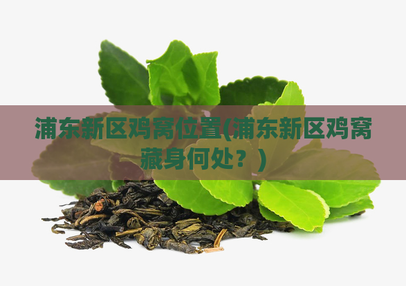浦东新区鸡窝位置(浦东新区鸡窝藏身何处？)
