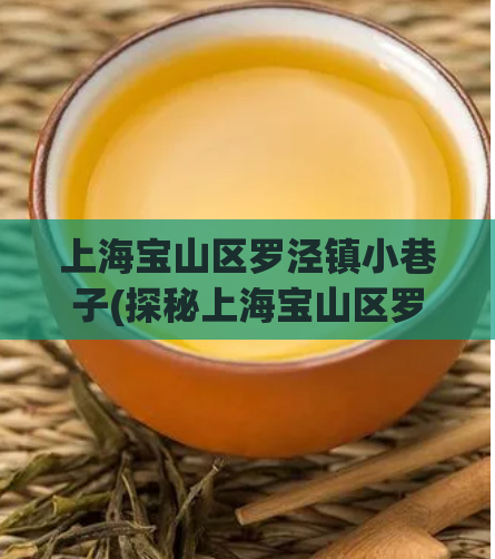 上海宝山区罗泾镇小巷子(探秘上海宝山区罗泾镇的小巷风貌)