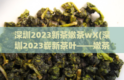 深圳2023新茶嫩茶wX(深圳2023崭新茶叶——嫩茶wX揭秘)