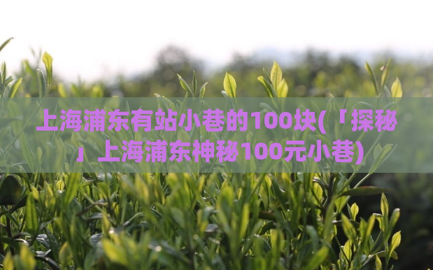 上海浦东有站小巷的100块(「探秘」上海浦东神秘100元小巷)