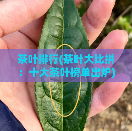 茶叶排行(茶叶大比拼:十大茶叶榜单出炉)