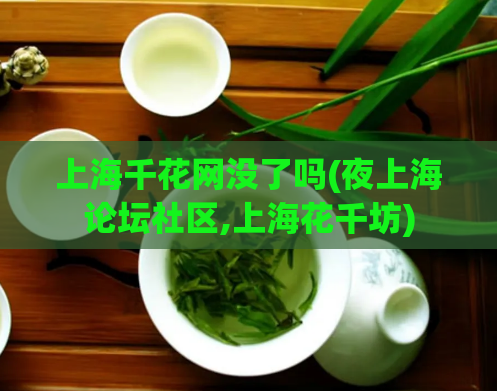 上海千花网没了吗(夜上海论坛社区,上海花千坊)