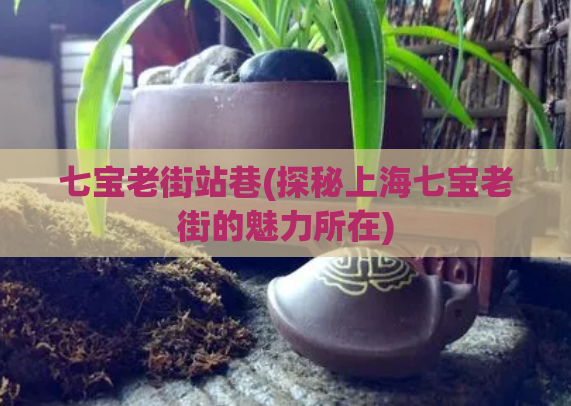 七宝老街站巷(探秘上海七宝老街的魅力所在)