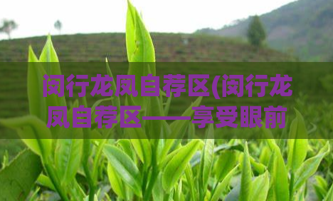 闵行龙凤自荐区(闵行龙凤自荐区——享受眼前美景)