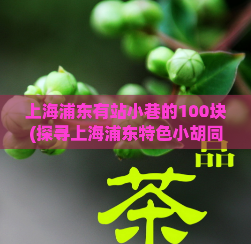 上海浦东有站小巷的100块(探寻上海浦东特色小胡同，拾趣100元街头风情)