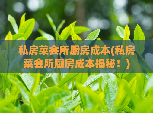 私房菜会所厨房成本(私房菜会所厨房成本揭秘!)
