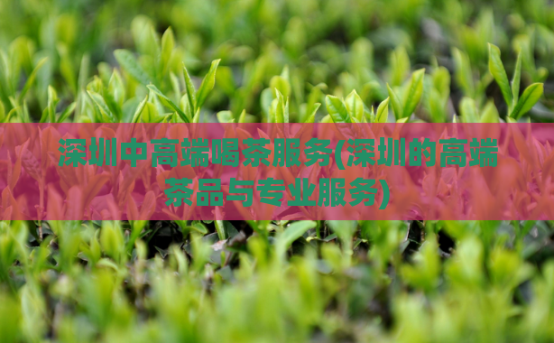 深圳中高端喝茶服务(深圳的高端茶品与专业服务)