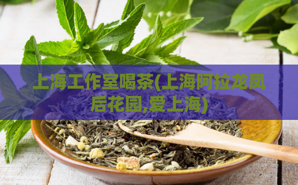 上海工作室喝茶(上海阿拉龙凤后花园,爱上海)