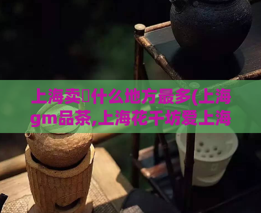 上海卖婬什么地方最多(上海gm品茶,上海花千坊爱上海)