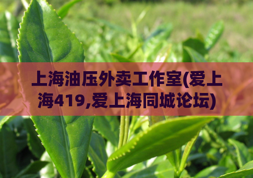 上海油压外卖工作室(爱上海419,爱上海同城论坛)