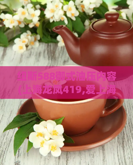 纽斯588御式油压内容(上海龙凤419,爱上海419)