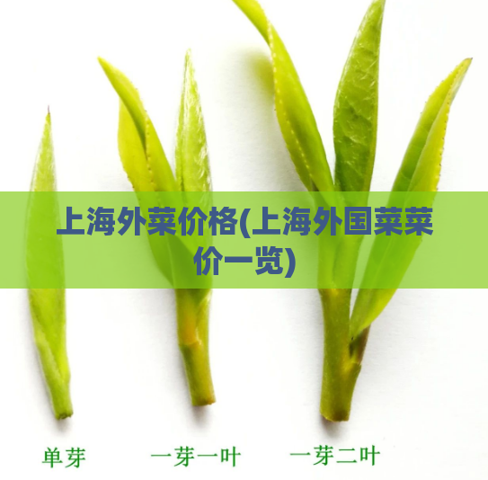 上海外菜价格(上海外国菜菜价一览)