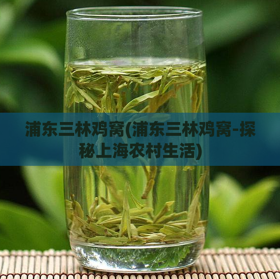 浦东三林鸡窝(浦东三林鸡窝-探秘上海农村生活)