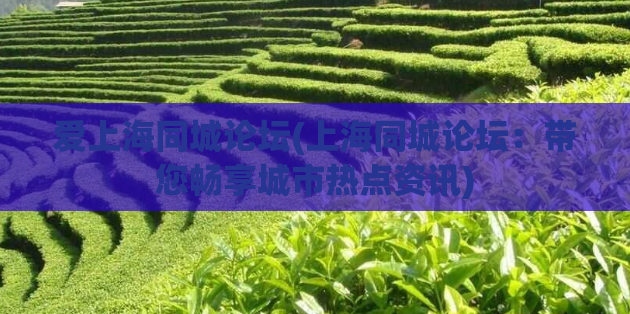爱上海同城论坛(上海同城论坛：带您畅享城市热点资讯)
