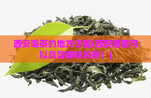西安喝茶的地方你懂(西安哪里可以品尝美味的茶?)