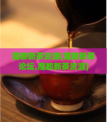 魔都新茶资源(魔都新茶论坛,魔都新茶资源)