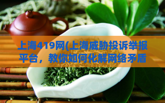 上海419网(上海威胁投诉举报平台,教你如何化解网络矛盾)