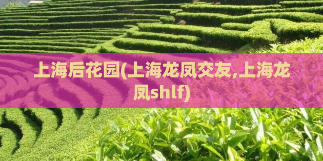 上海后花园(上海龙凤交友,上海龙凤shlf)