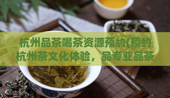 杭州品茶喝茶资源预约(预约杭州茶文化体验，品专业品茶技艺！)