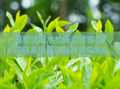 周星驰玩水枪弄湿嫩模(野花日本免费观看高清电影8,一般吹出来多少钱)