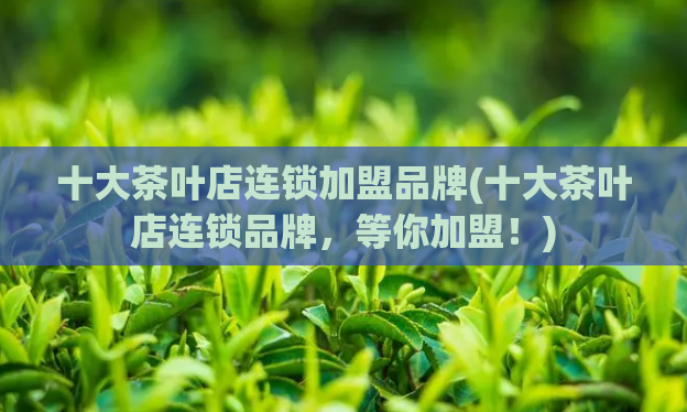 十大茶叶店连锁加盟品牌(十大茶叶店连锁品牌，等你加盟！)