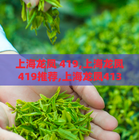 上海龙凤 419,上海龙凤419推荐,上海龙凤4131