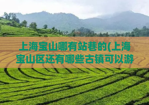 上海宝山哪有站巷的(上海宝山区还有哪些古镇可以游玩？)