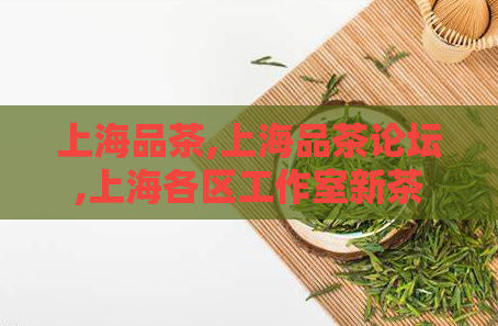 上海品茶,上海品茶论坛,上海各区工作室新茶