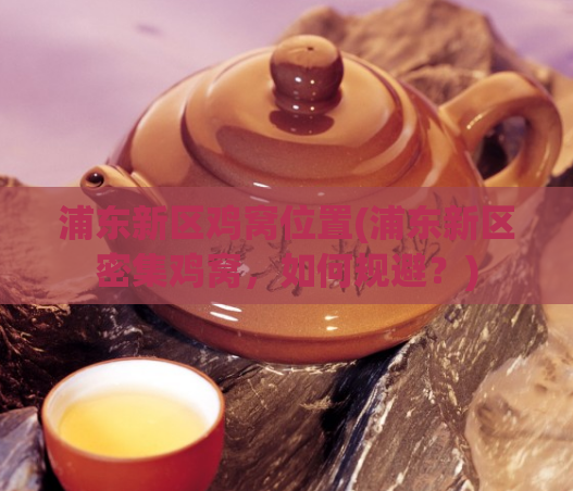 浦东新区鸡窝位置(浦东新区密集鸡窝，如何规避？)