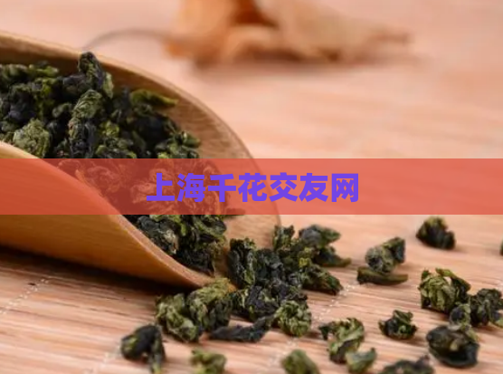 上海千花交友网