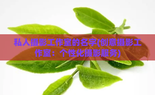 私人摄影工作室的名字(创意摄影工作室：个性化摄影服务)
