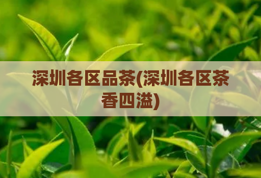 深圳各区品茶(深圳各区茶香四溢)