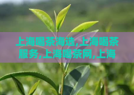 上海喝茶海选,上海喝茶服务,上海喝茶网,上海喝茶vx