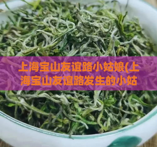 上海宝山友谊路小姑娘(上海宝山友谊路发生的小姑娘事件，新闻背后的现实何想？)
