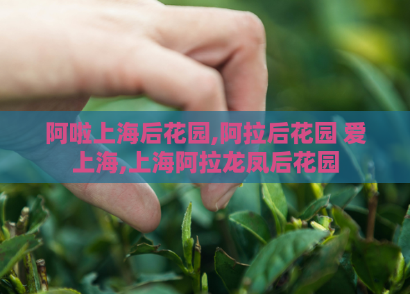阿啦上海后花园,阿拉后花园 爱上海,上海阿拉龙凤后花园