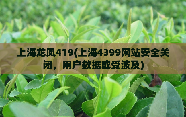 上海龙凤419(上海4399网站安全关闭，用户数据或受波及)