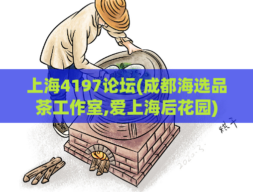 上海4197论坛(成都海选品茶工作室,爱上海后花园)
