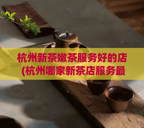 杭州新茶嫩茶服务好的店 (杭州哪家新茶店服务最优秀？)
