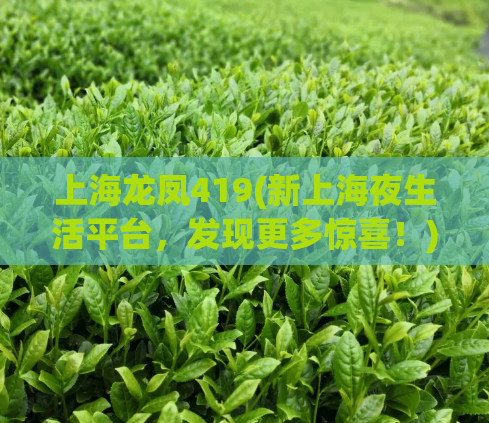 上海龙凤419(新上海夜生活平台，发现更多惊喜！)