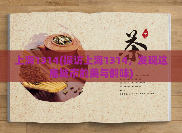 上海1314(探访上海1314，发现这座城市的美与韵味)