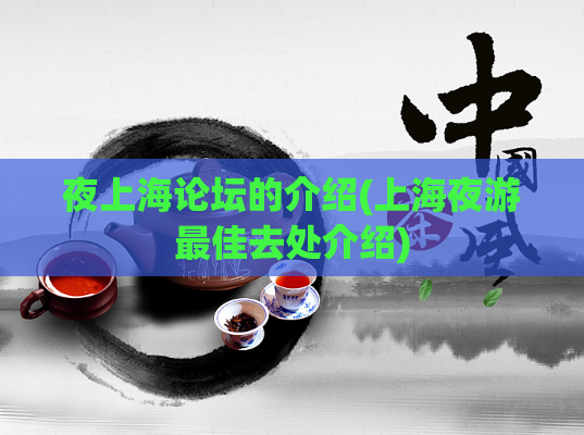 夜上海论坛的介绍(上海夜游最佳去处介绍)