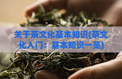 关于茶文化基本知识(茶文化入门：基本知识一览)